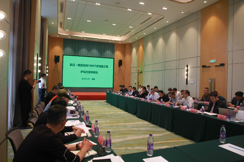 图片6
